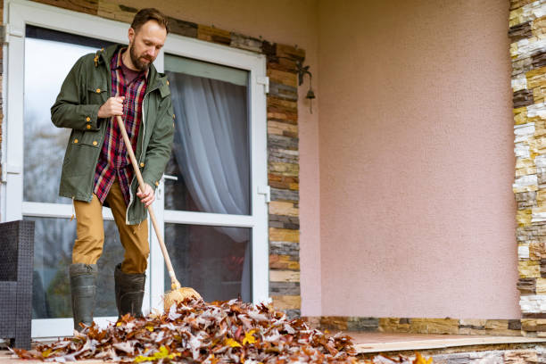 Best Junk Removal Near Me  in Silver Firs, WA